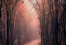 赛季收官，中国短道速滑队仍有时间总结环球时报.