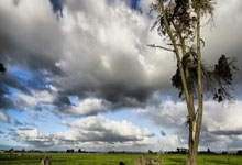 问鼎：字母哥缺席！里弗斯：完全没料到 他早上给我发短信我才知道.